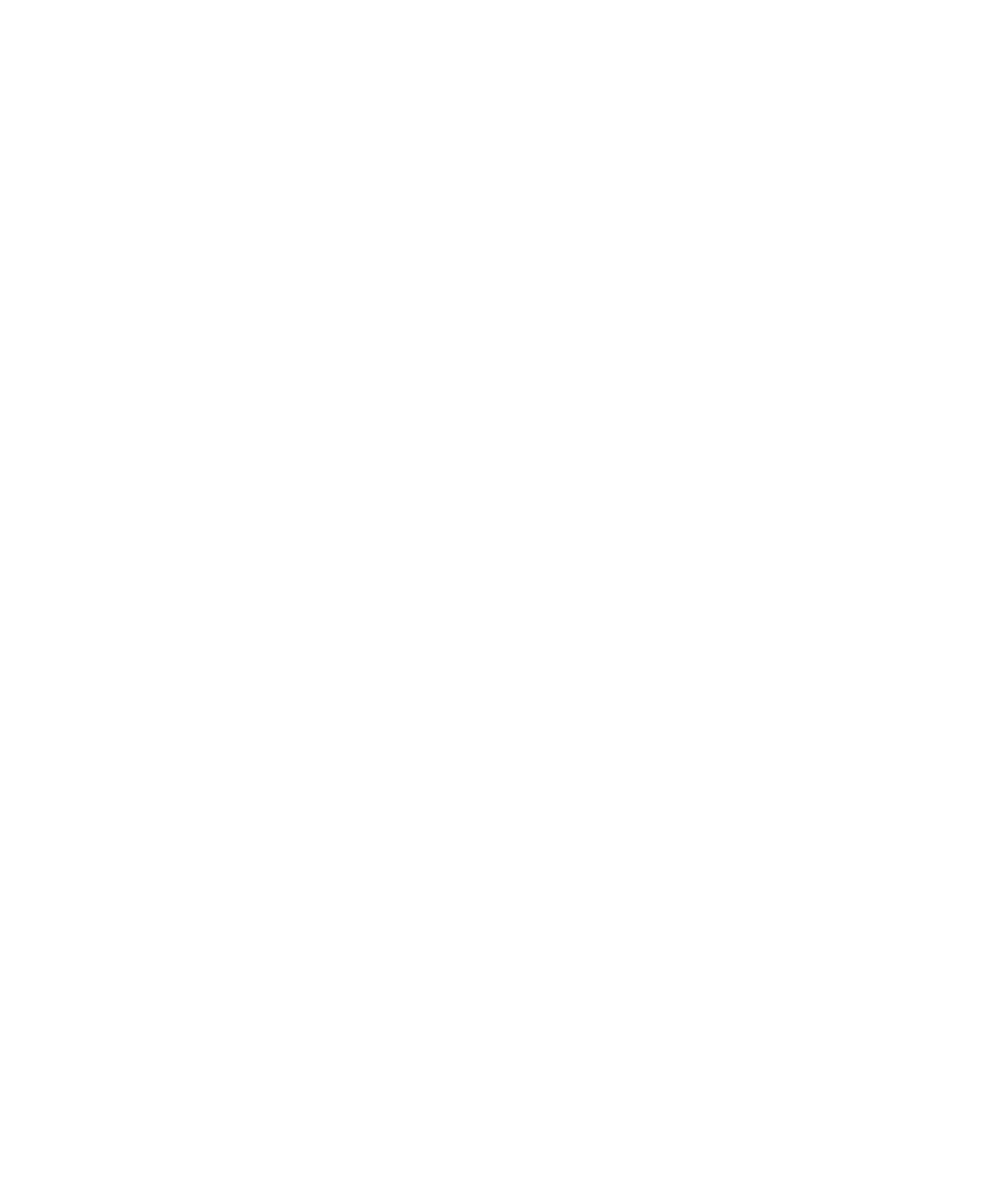 Revolution Logo with Text Inverted